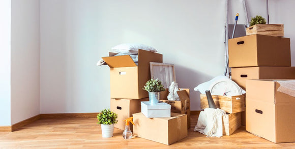 Preparing a moving day survival kit